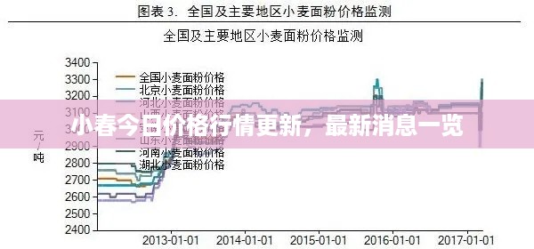 小春今日价格行情更新，最新消息一览