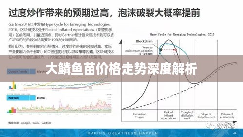 大鳞鱼苗价格走势深度解析