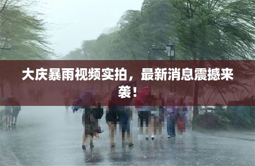 大庆暴雨视频实拍，最新消息震撼来袭！