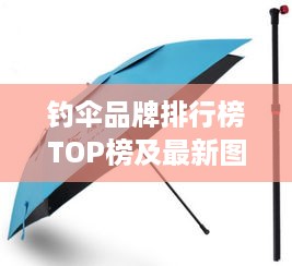 钓伞品牌排行榜TOP榜及最新图片展示