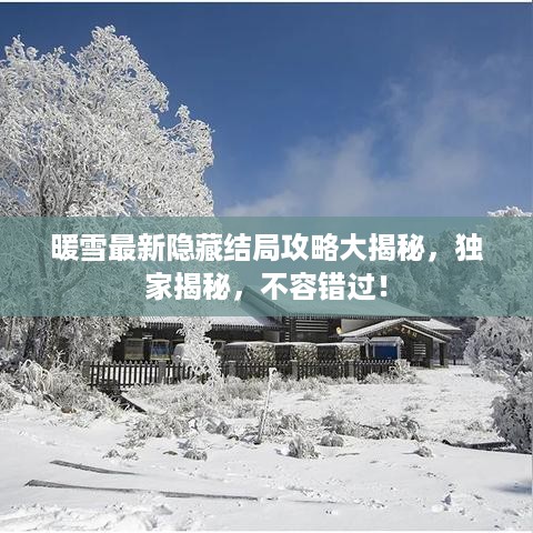 暖雪最新隐藏结局攻略大揭秘，独家揭秘，不容错过！