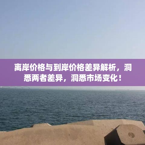 离岸价格与到岸价格差异解析，洞悉两者差异，洞悉市场变化！