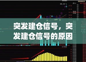 突发建仓信号，突发建仓信号的原因 