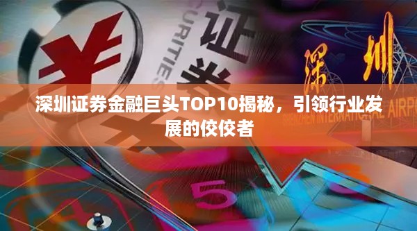 深圳证券金融巨头TOP10揭秘，引领行业发展的佼佼者