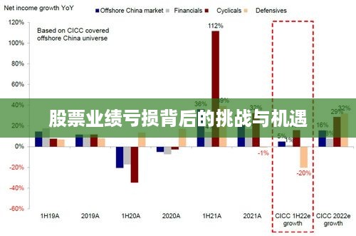 股票业绩亏损背后的挑战与机遇