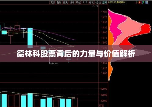 德林科股票背后的力量与价值解析