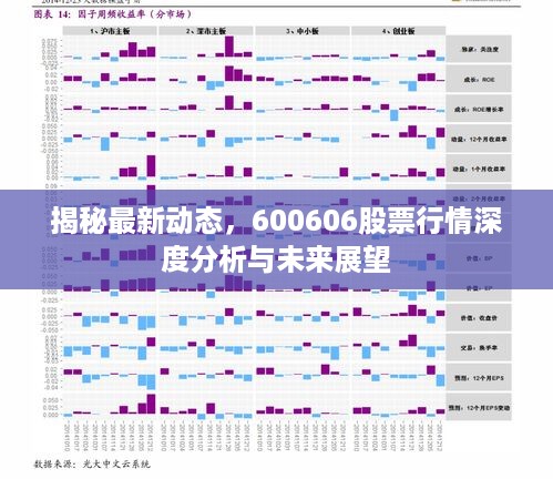 揭秘最新动态，600606股票行情深度分析与未来展望