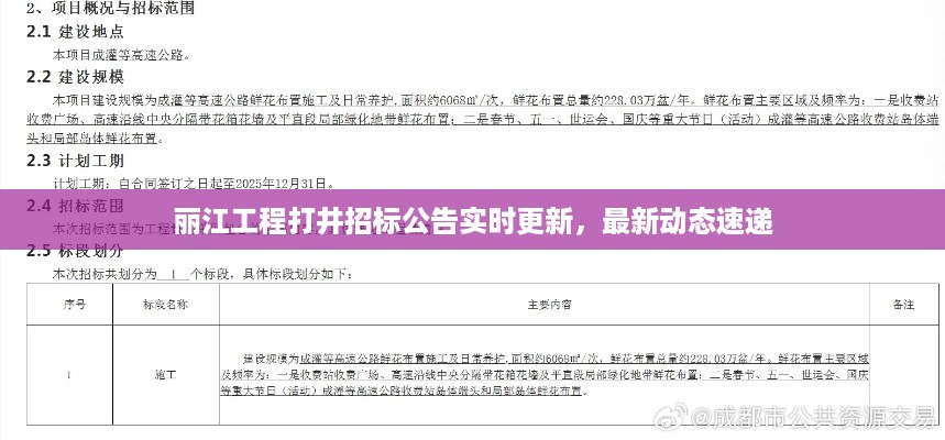 丽江工程打井招标公告实时更新，最新动态速递