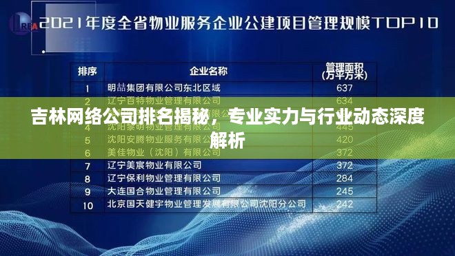 吉林网络公司排名揭秘，专业实力与行业动态深度解析