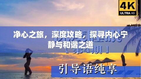 净心之旅，深度攻略，探寻内心宁静与和谐之道