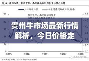 贵州牛市场最新行情解析，今日价格走势及趋势预测