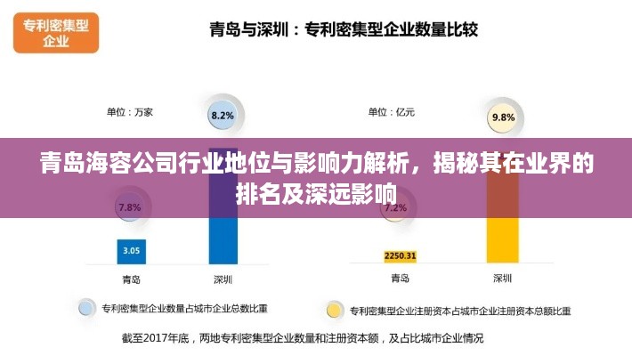 青岛海容公司行业地位与影响力解析，揭秘其在业界的排名及深远影响