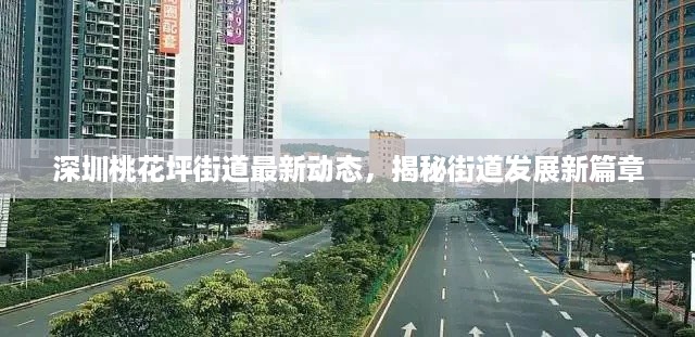 深圳桃花坪街道最新动态，揭秘街道发展新篇章