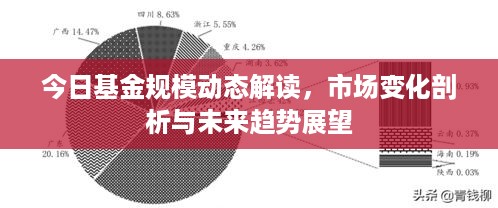 今日基金规模动态解读，市场变化剖析与未来趋势展望