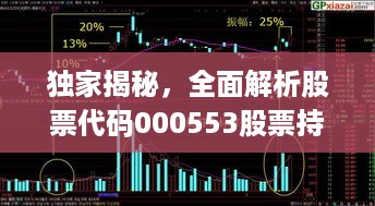 独家揭秘，全面解析股票代码000553股票持仓布局