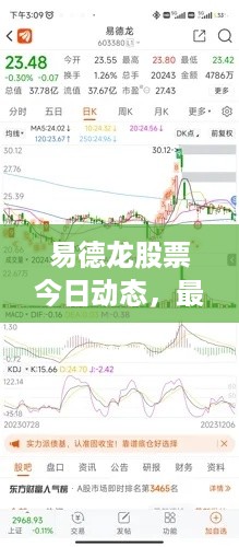 易德龙股票今日动态，最新消息全面解析