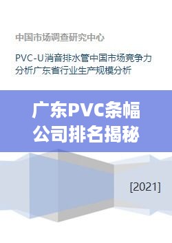 广东PVC条幅公司排名揭秘，市场概述与竞争力分析