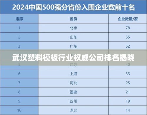 武汉塑料模板行业权威公司排名揭晓