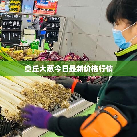 章丘大葱今日最新价格行情