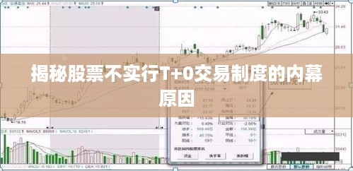 揭秘股票不实行T+0交易制度的内幕原因