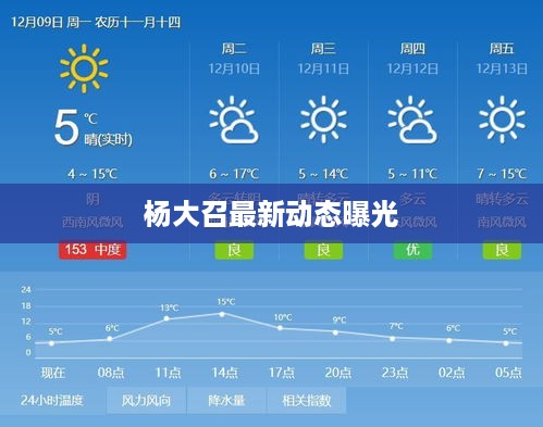 杨大召最新动态曝光