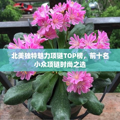 北美独特魅力项链TOP榜，前十名小众项链时尚之选