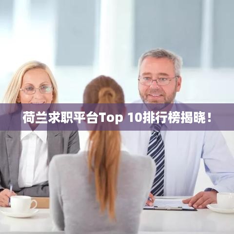 荷兰求职平台Top 10排行榜揭晓！