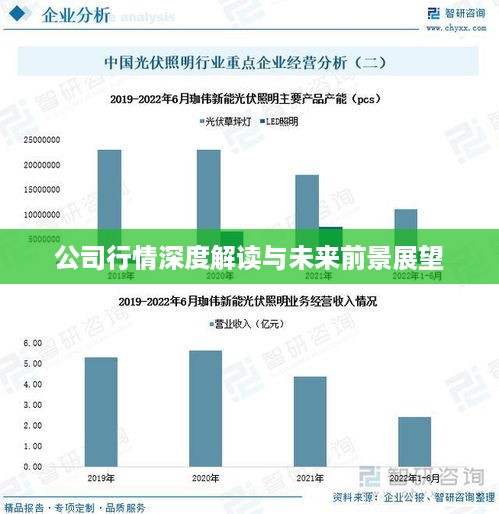 公司行情深度解读与未来前景展望