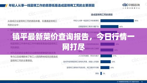 镇平最新菜价查询报告，今日行情一网打尽