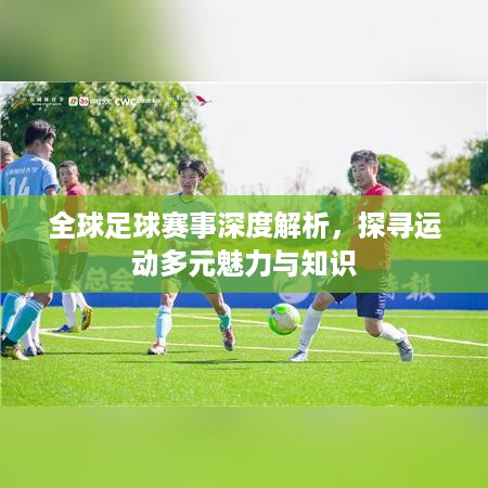 全球足球赛事深度解析，探寻运动多元魅力与知识