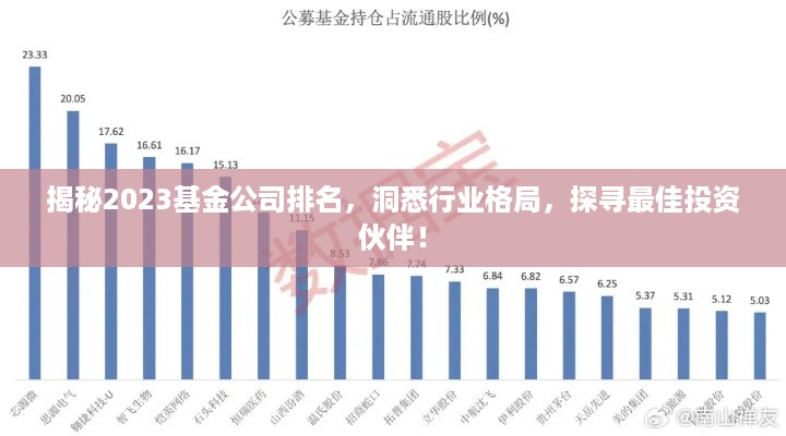 揭秘2023基金公司排名，洞悉行业格局，探寻最佳投资伙伴！