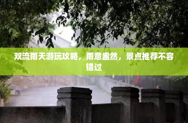 双流雨天游玩攻略，雨意盎然，景点推荐不容错过