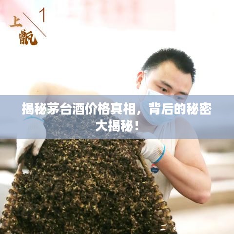 揭秘茅台酒价格真相，背后的秘密大揭秘！