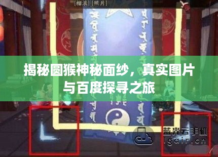 揭秘圆猴神秘面纱，真实图片与百度探寻之旅