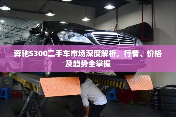 奔驰S300二手车市场深度解析，行情、价格及趋势全掌握