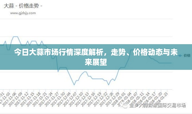 今日大蒜市场行情深度解析，走势、价格动态与未来展望