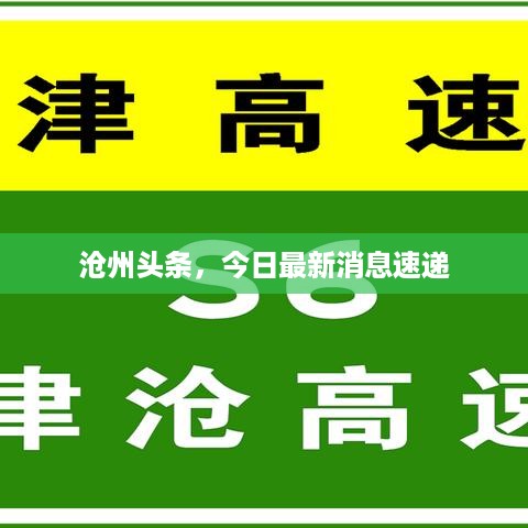 沧州头条，今日最新消息速递