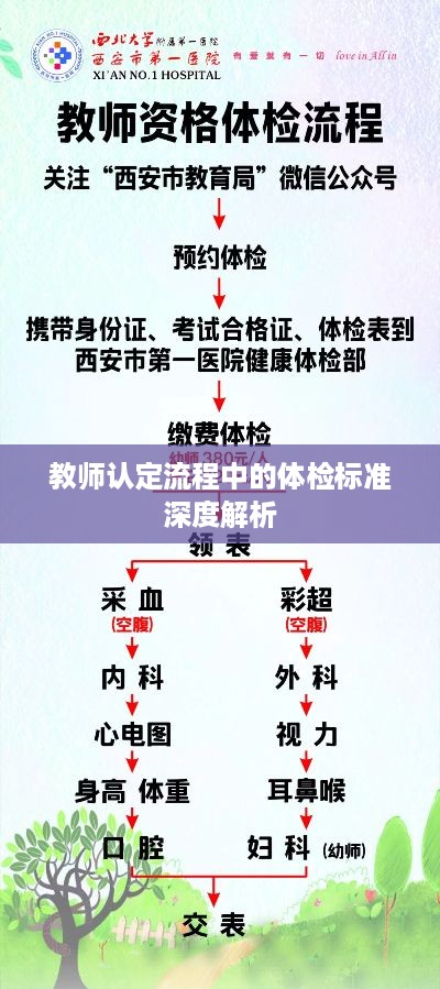 教师认定流程中的体检标准深度解析