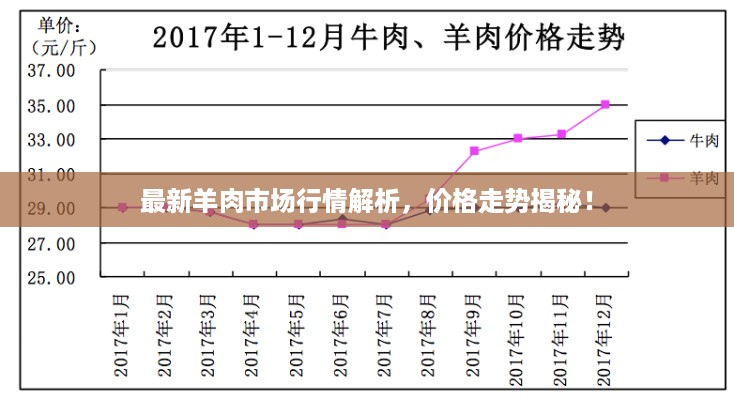 最新羊肉市场行情解析，价格走势揭秘！