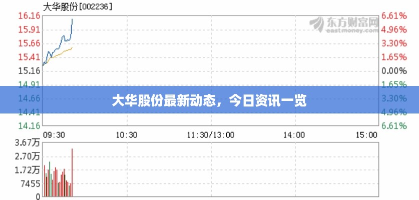 大华股份最新动态，今日资讯一览