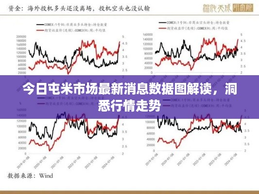 今日屯米市场最新消息数据图解读，洞悉行情走势