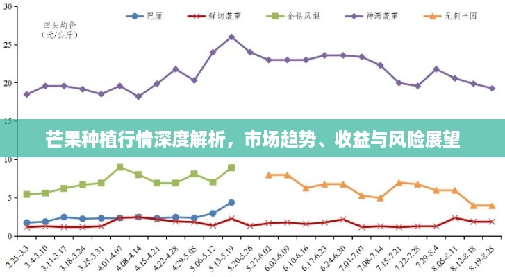 芒果种植行情深度解析，市场趋势、收益与风险展望