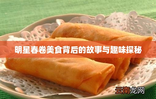 明星春卷美食背后的故事与趣味探秘