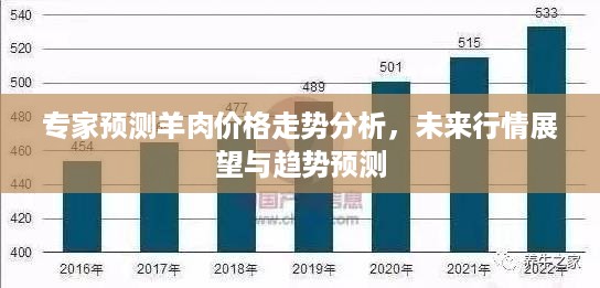 专家预测羊肉价格走势分析，未来行情展望与趋势预测