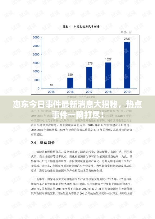 惠东今日事件最新消息大揭秘，热点事件一网打尽！