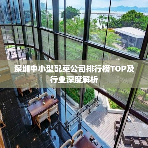 深圳中小型配菜公司排行榜TOP及行业深度解析