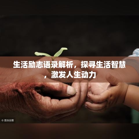 生活励志语录解析，探寻生活智慧，激发人生动力