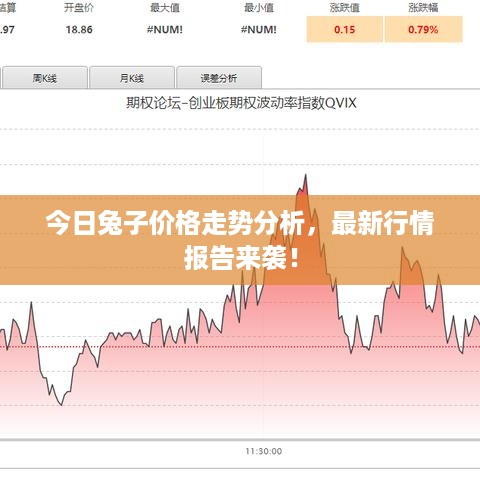 今日兔子价格走势分析，最新行情报告来袭！