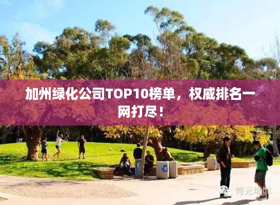 加州绿化公司TOP10榜单，权威排名一网打尽！