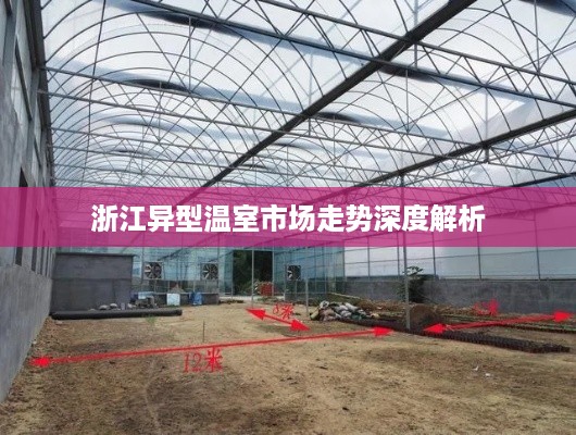 浙江异型温室市场走势深度解析